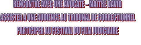 Rencontrer une avocate – Assister à une audience au tribunal correctionnel – Participer au festival du film judiciaire